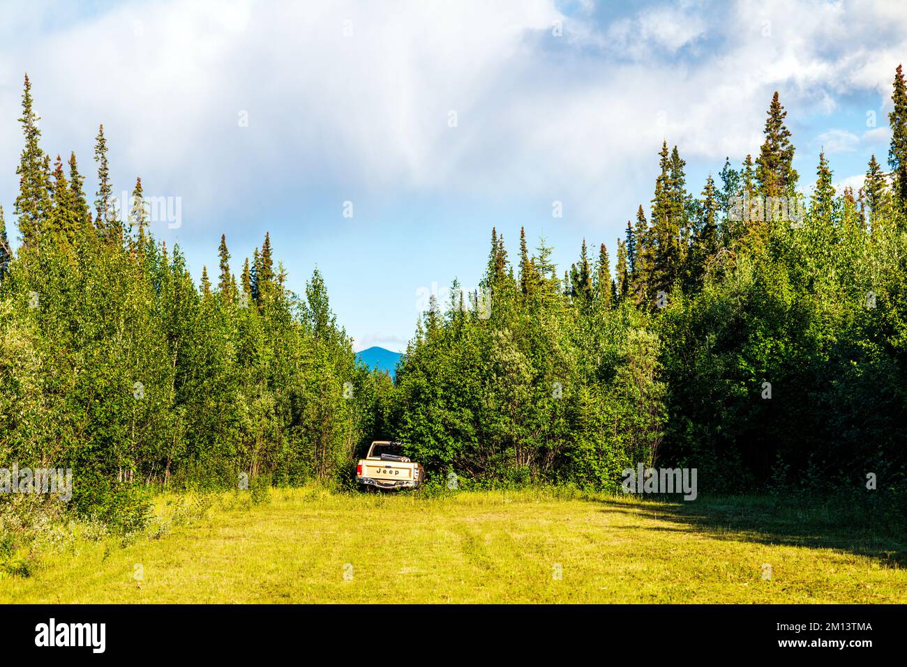 Vecchio camion Jeep; striscia di aria remota attraverso la foresta; Discovery Yukon Lodge & RV Campground; Beaver Creek; Yukon; Canada Foto Stock
