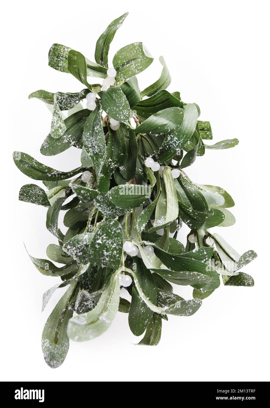 Vischio verde di Natale con bacche bianche, vista dall'alto isolata su sfondo bianco, oggetto per la carta regalo di auguri o banner pubblicitario di promozione Foto Stock