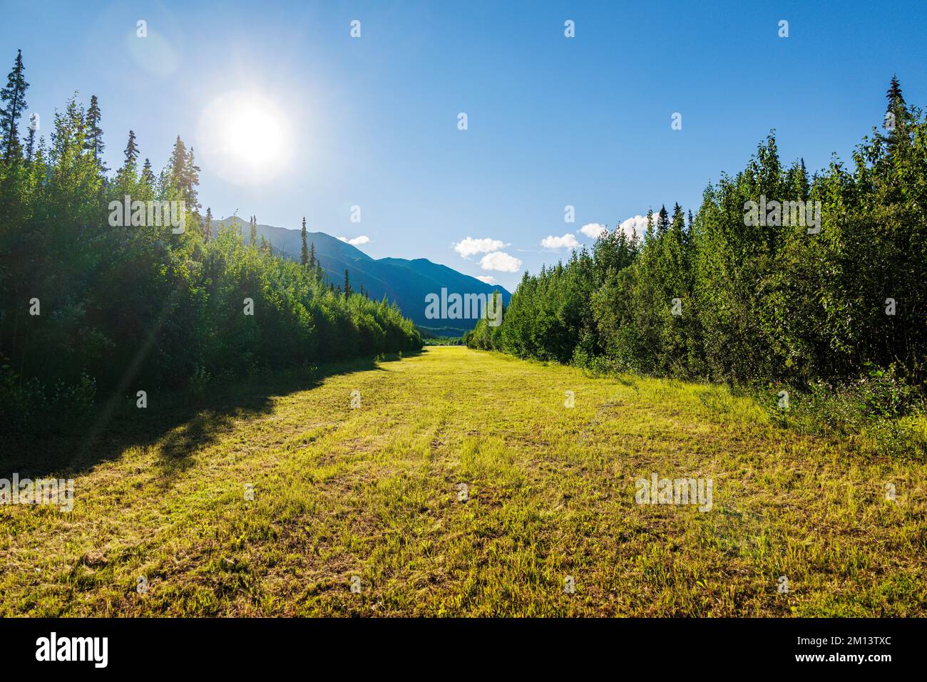 Striscia d'aria remota attraverso la foresta; Discovery Yukon Lodge & RV Campground; Beaver Creek; Yukon; Canada Foto Stock