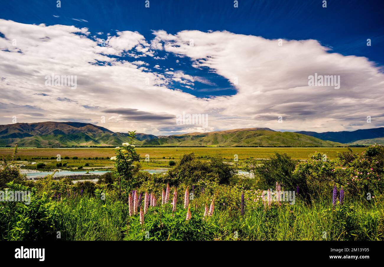 Fiori di ghiaccio e cielo nuvoloso in Omarama Foto Stock