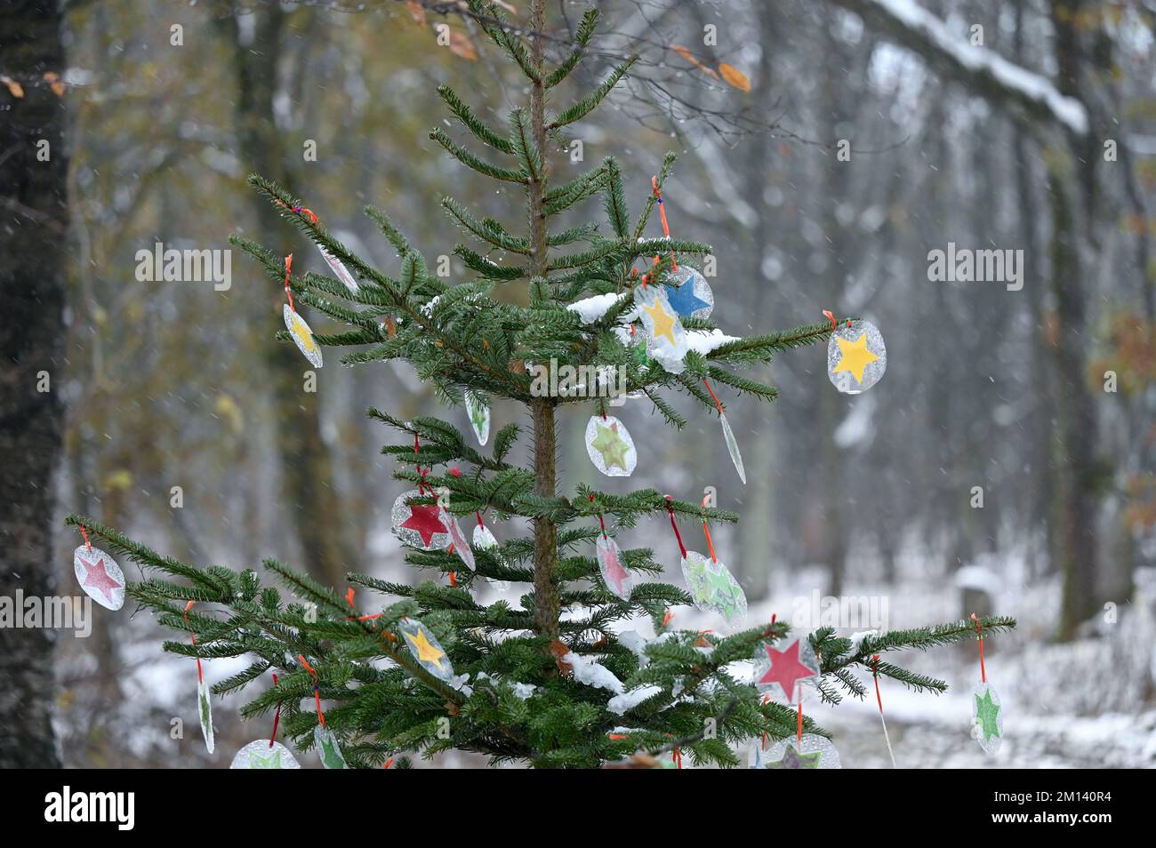 Kassel, Germania. 07th Dec, 2022. Un albero di Natale decorato si trova nella foresta di Habichtswald. Lungo il percorso natalizio Fairy tale, lungo 3,2 chilometri, si ergono 15 alberi di Natale a intervalli di circa 200 metri, decorati da bambini di asili e scuole elementari a Kassel e nei dintorni. Ogni albero ha una targa con una fiaba diversa dei Fratelli Grimm. (A dpa in Assia, è bello camminare anche in inverno) Credit: Uwe Zucchi/dpa/Alamy Live News Foto Stock