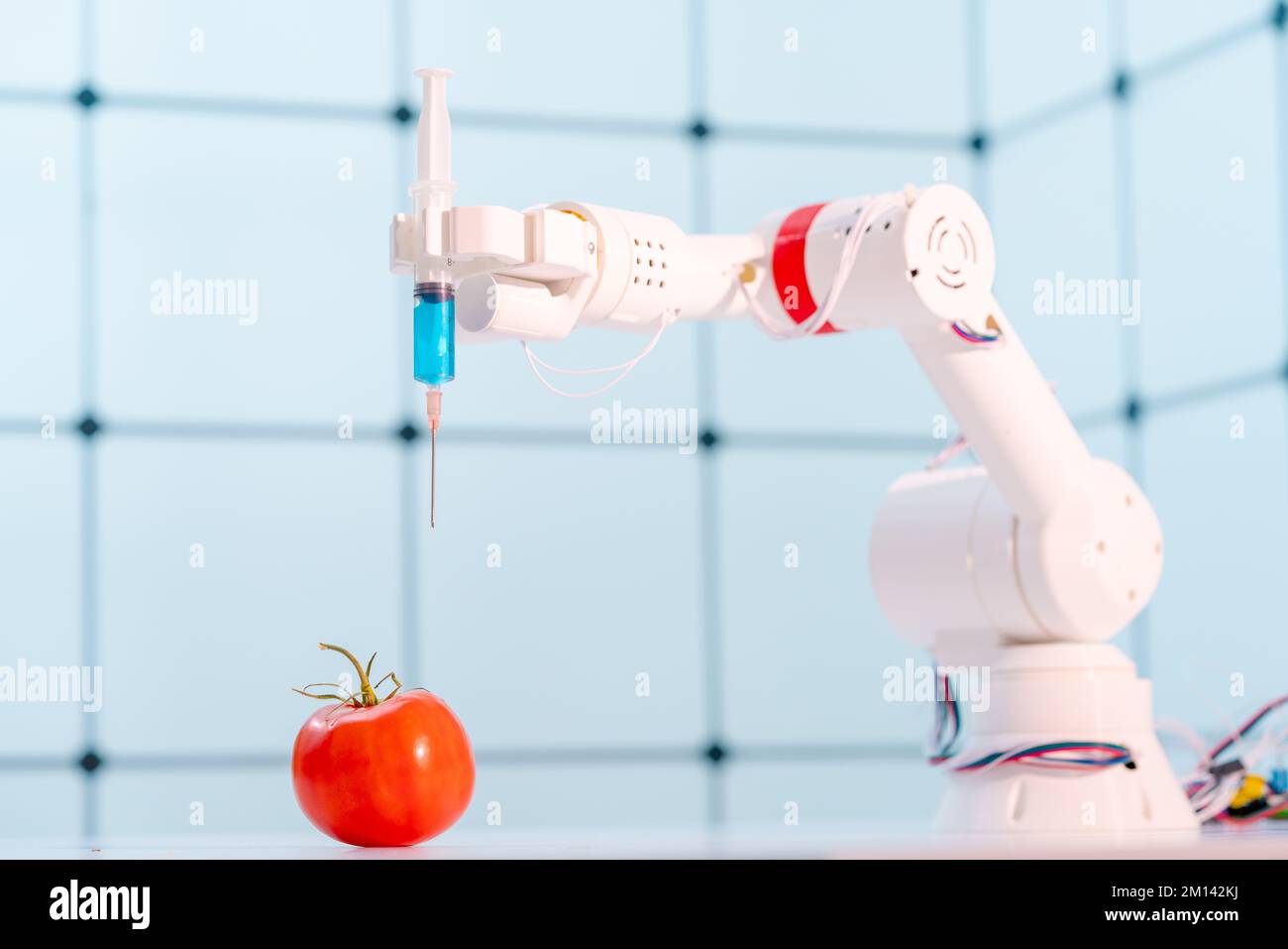Braccio robotico che tiene il pomodoro Foto Stock
