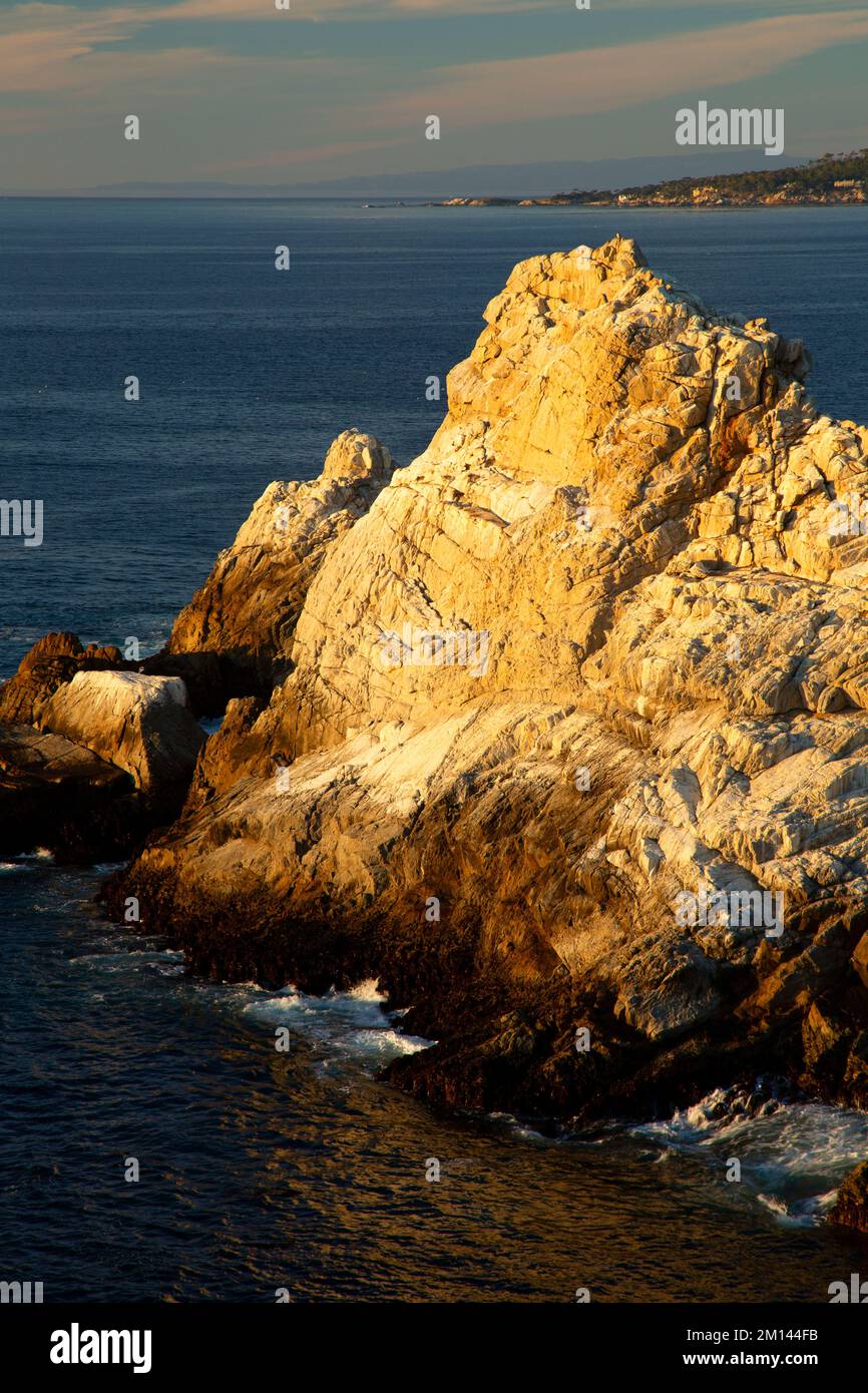 La vista del Pinnacle da Allan Memorial Grove Trail, Point Lobos state Reserve, Big sur Coast Highway Scenic Byway, California Foto Stock