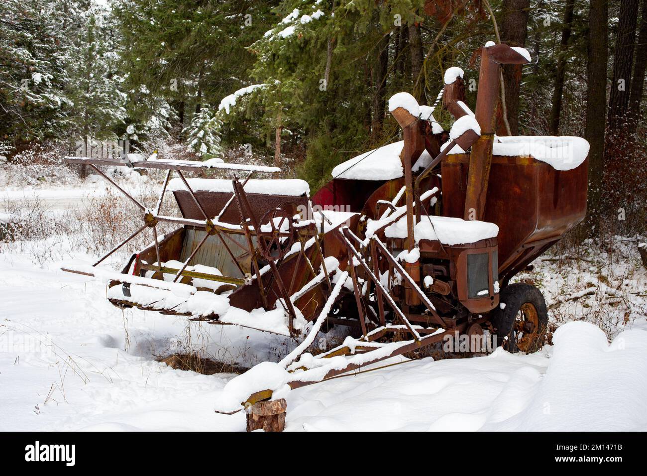 Un vecchio, arrugginito McCormick-Deering No.63 Harvester Thresher nella neve, sul bordo dei boschi, al di fuori di Bonners Ferry, Idaho. Foto Stock