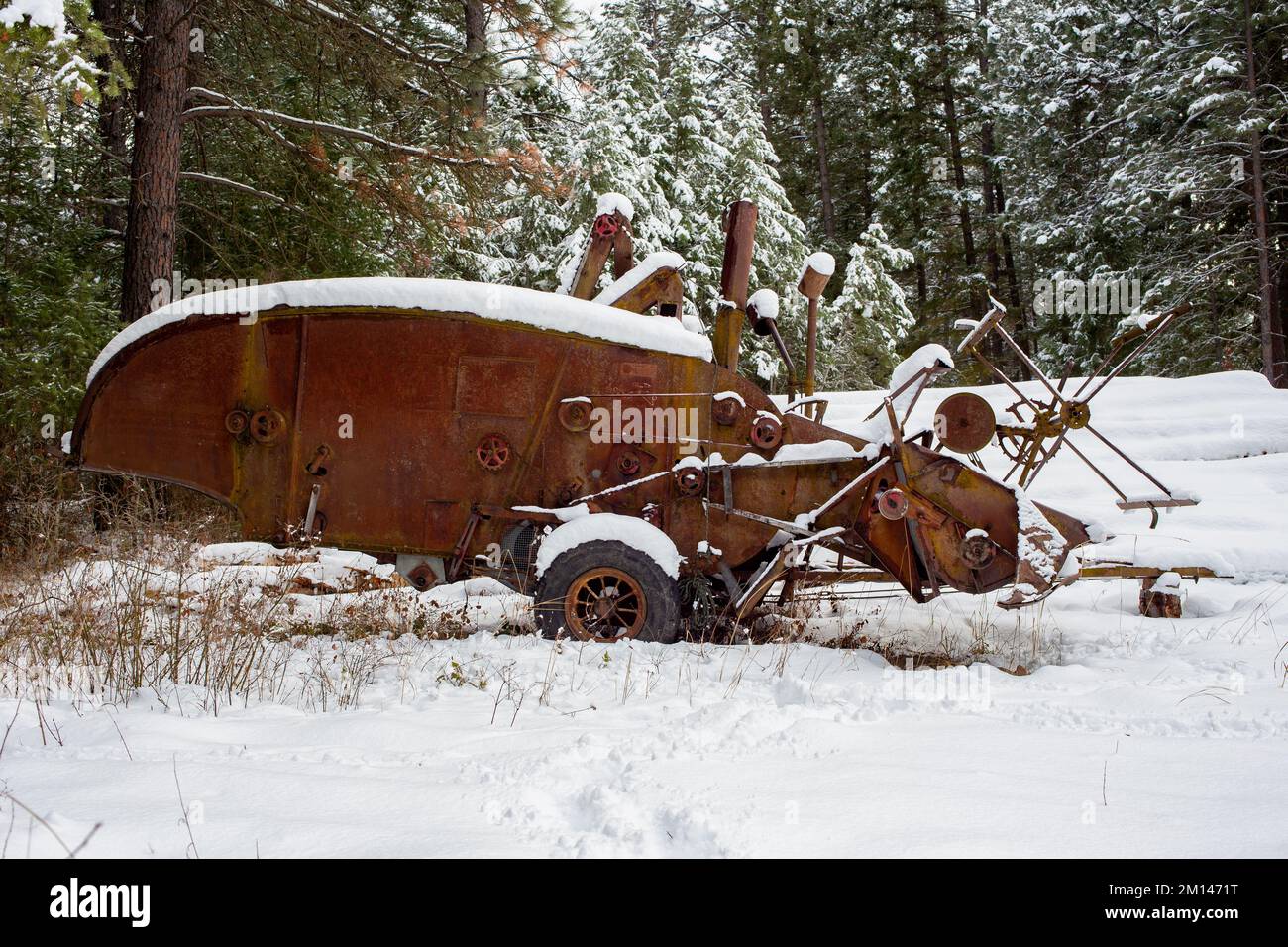 Un vecchio, arrugginito McCormick-Deering No.63 Harvester Thresher nella neve, sul bordo dei boschi, al di fuori di Bonners Ferry, Idaho. Foto Stock