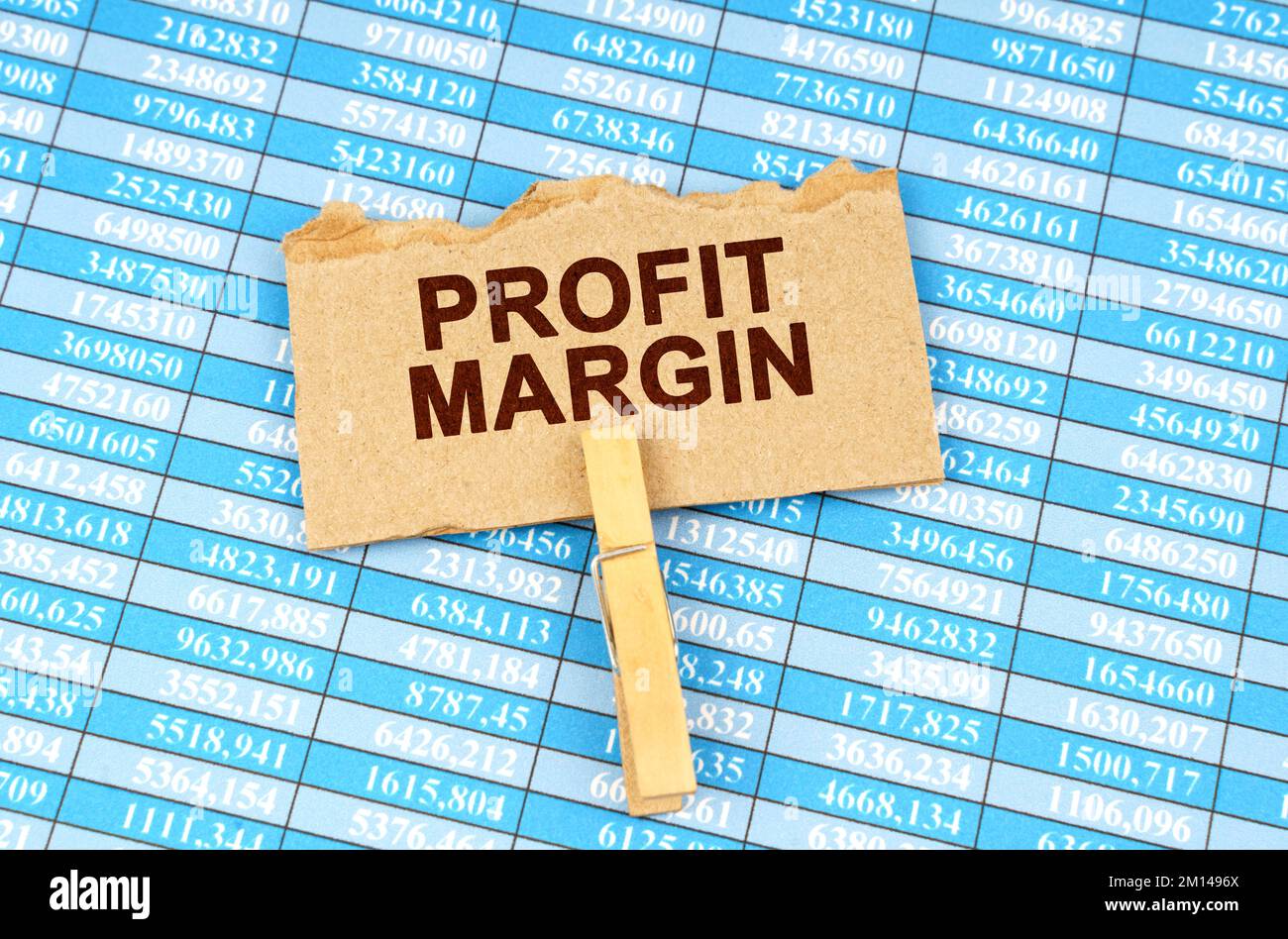 Concetto di business e finanza. Sulle tabelle finanziarie è presente un cartoncino con l'iscrizione - MARGINE DI PROFITTO Foto Stock