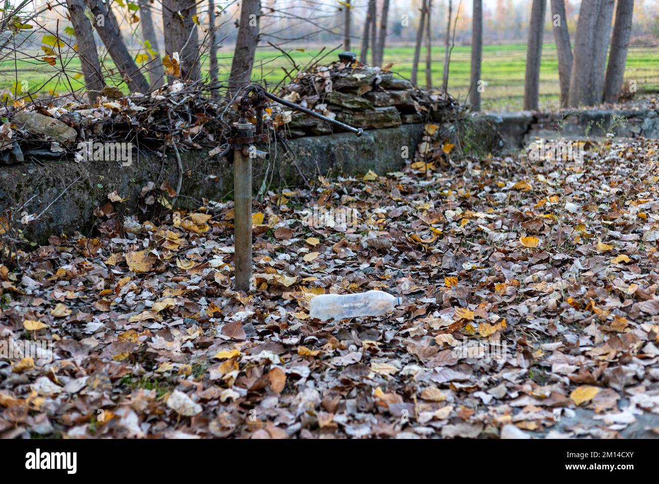 Una pompa a mano su un pozzo in una foresta senza acqua. concetto di scarsità d'acqua Foto Stock