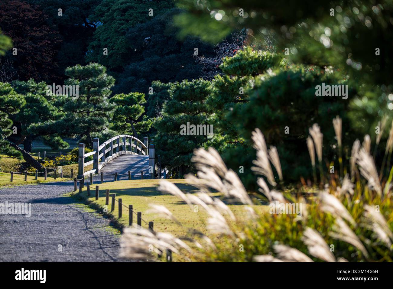 Giardini Hamarikyu a Tokyo in Giappone Foto Stock