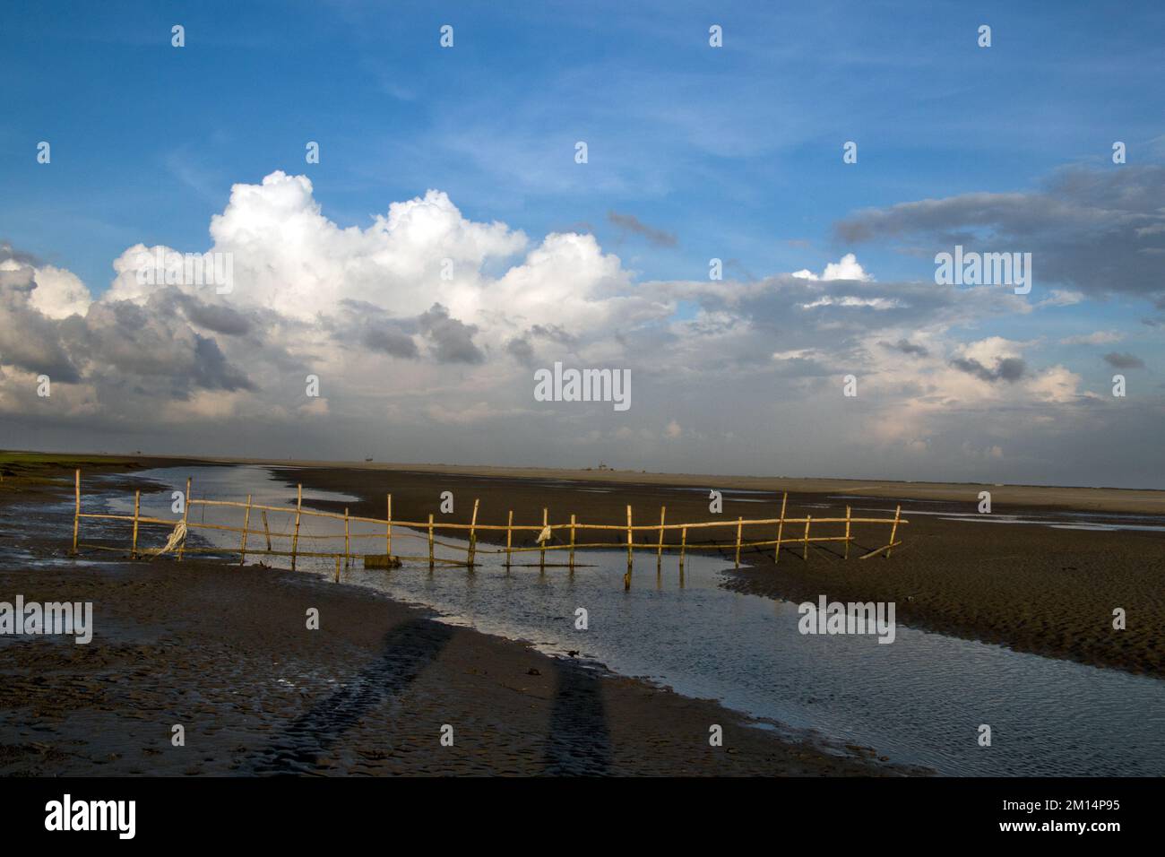 bella bakkali ovest bengala india Foto Stock