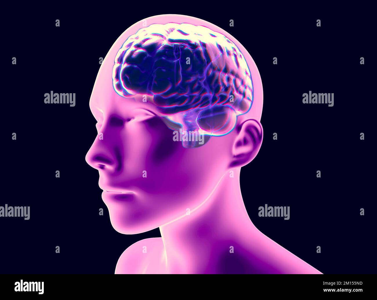 Neurologia, filosofia: Connessioni, sviluppo del pensiero e della riflessione, possibilità infinite del cervello e della mente. Anatomia umana Foto Stock