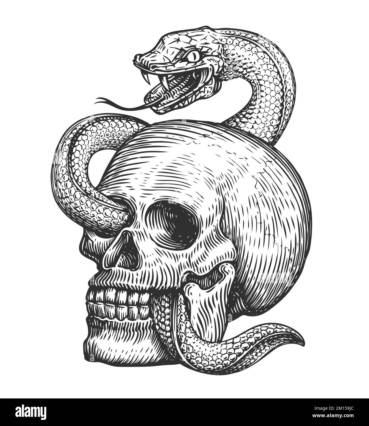 Serpente avvolge il cranio umano. Disegno disegnato a mano in stile vintage. Illustrazione del tatuaggio Foto Stock