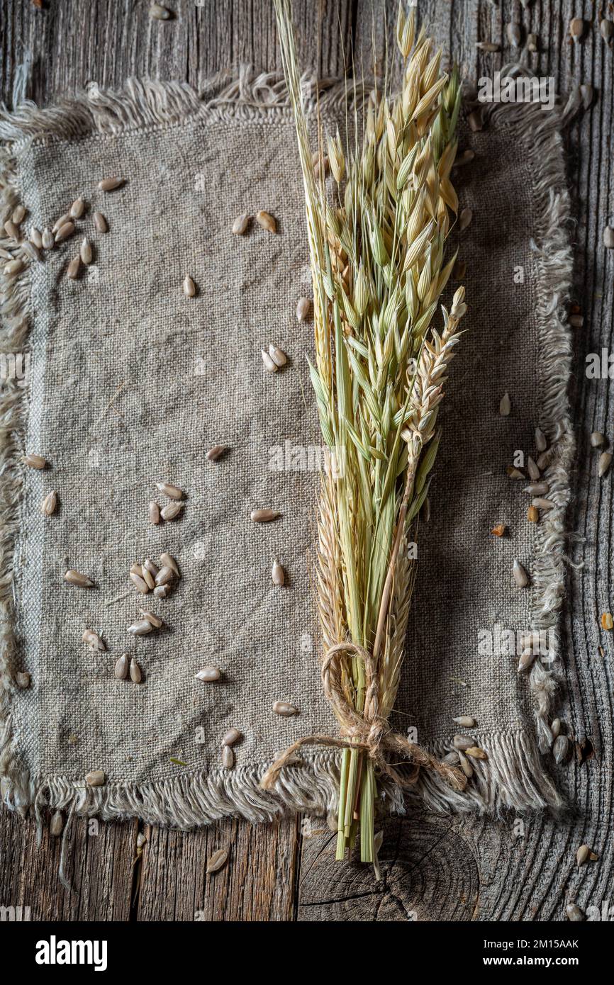 Orecchie con semi su tela di lino come sfondo. Sfondo con spazio per il testo per la panetteria. Foto Stock