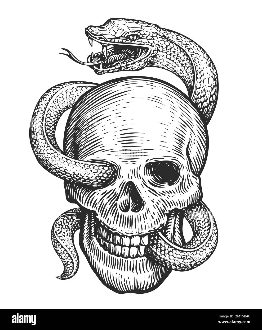 Cranio umano e Snake sketch. Illustrazione disegnata a mano in stile di incisione vintage. Tatuaggio isolato su sfondo bianco Foto Stock