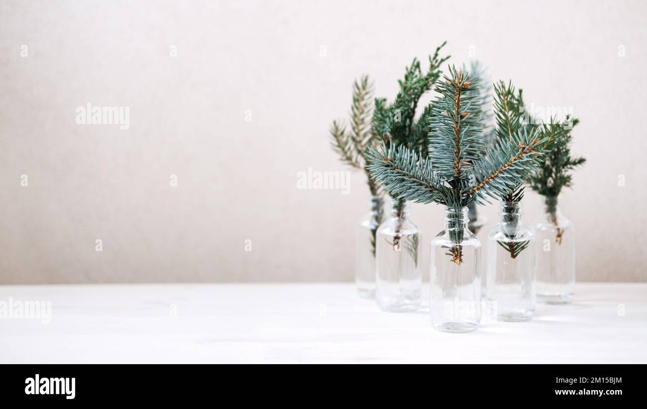 Natale ecologico sostenibile. Rami di abete di conifere in bottiglia, decorazioni natalizie colorabili. Foto Stock