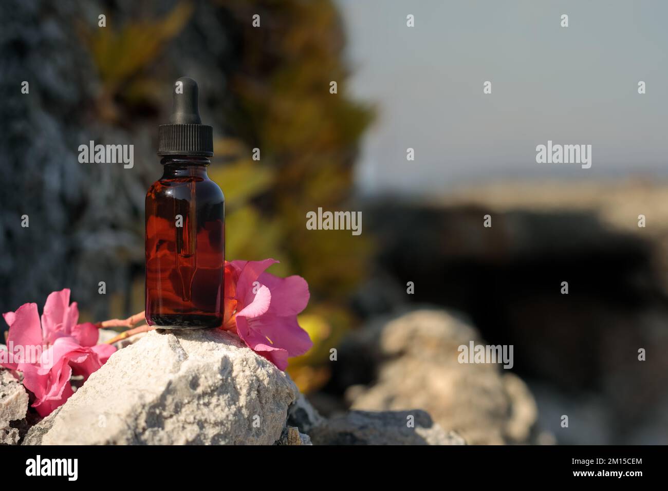 Medicinali da Bach fiori, bottiglia con contagocce in ambiente naturale. Simulazione. Bel mockup floreale per la presentazione di cosmetici, produzione medica. Foto Stock