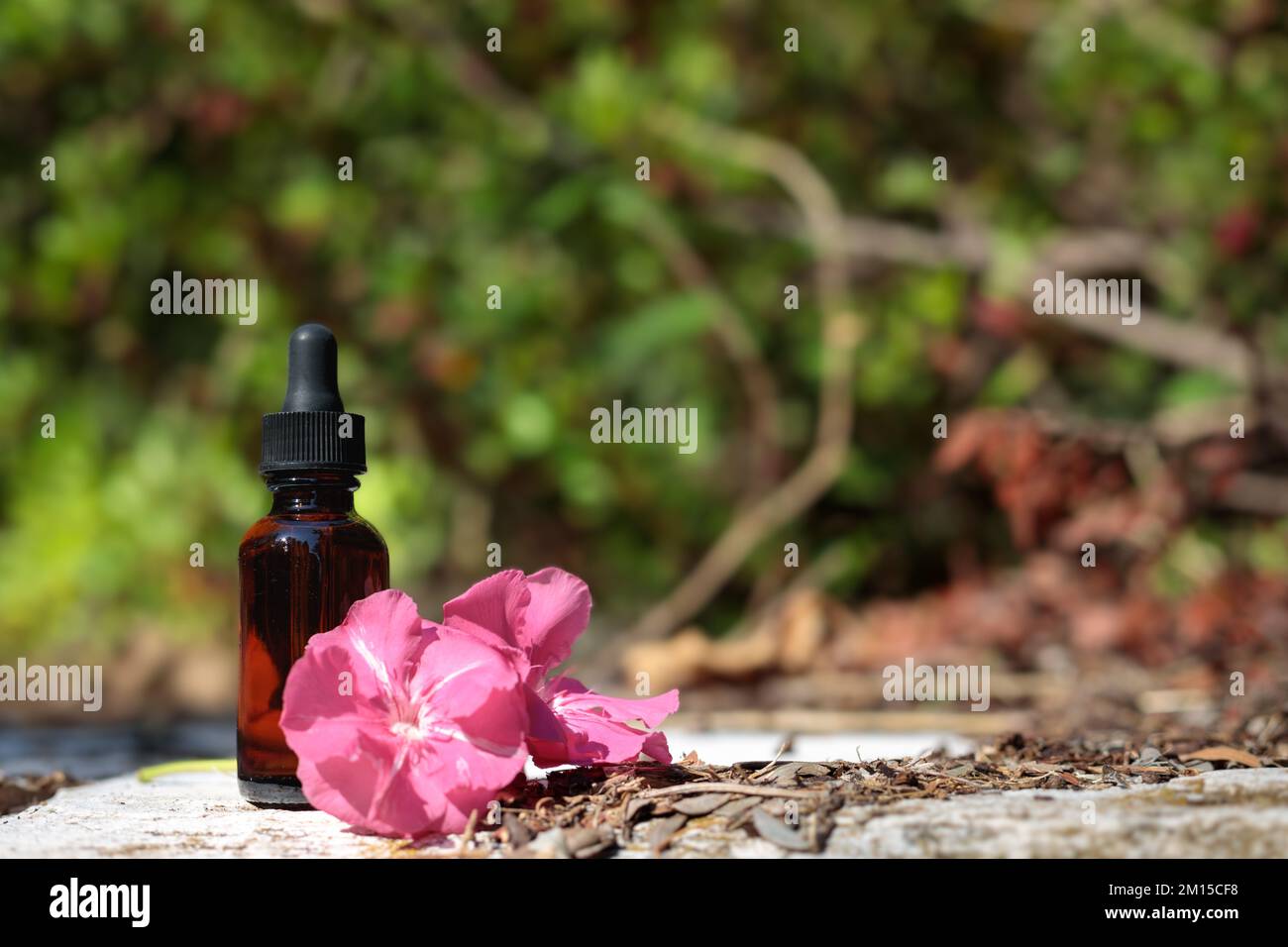 Rimedi naturali, aromaterapia, bottiglia d'ambra. Spazio libero sul prodotto, simulazione. Fiore rosa, terapia bach. Foto Stock