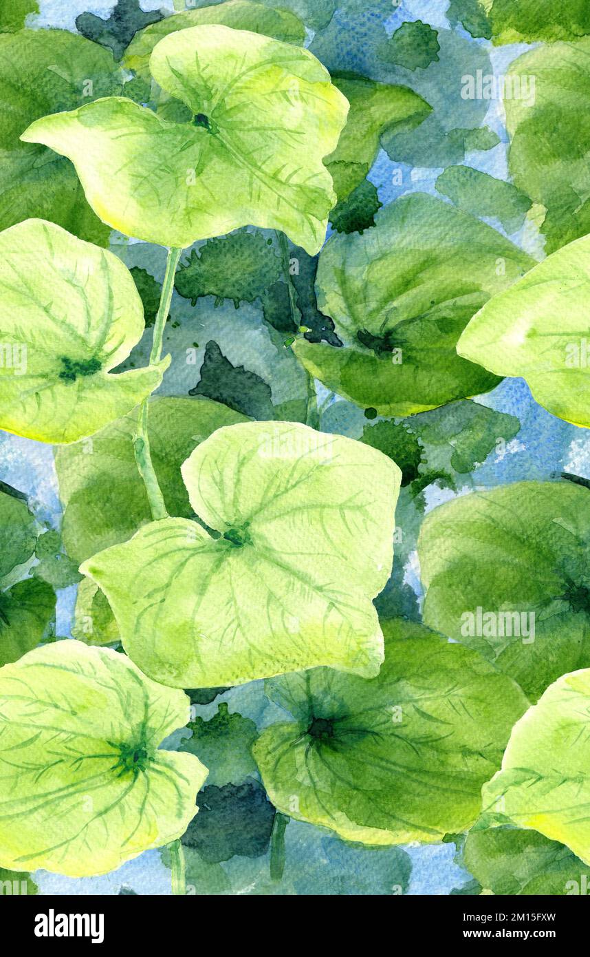 Motivo senza cuciture con foglie verdi su rami su sfondo blu (Hong Kong Orchid foglie, Auritum). Acquerello realistico lussureggiante fogliame illustrazione. Foto Stock