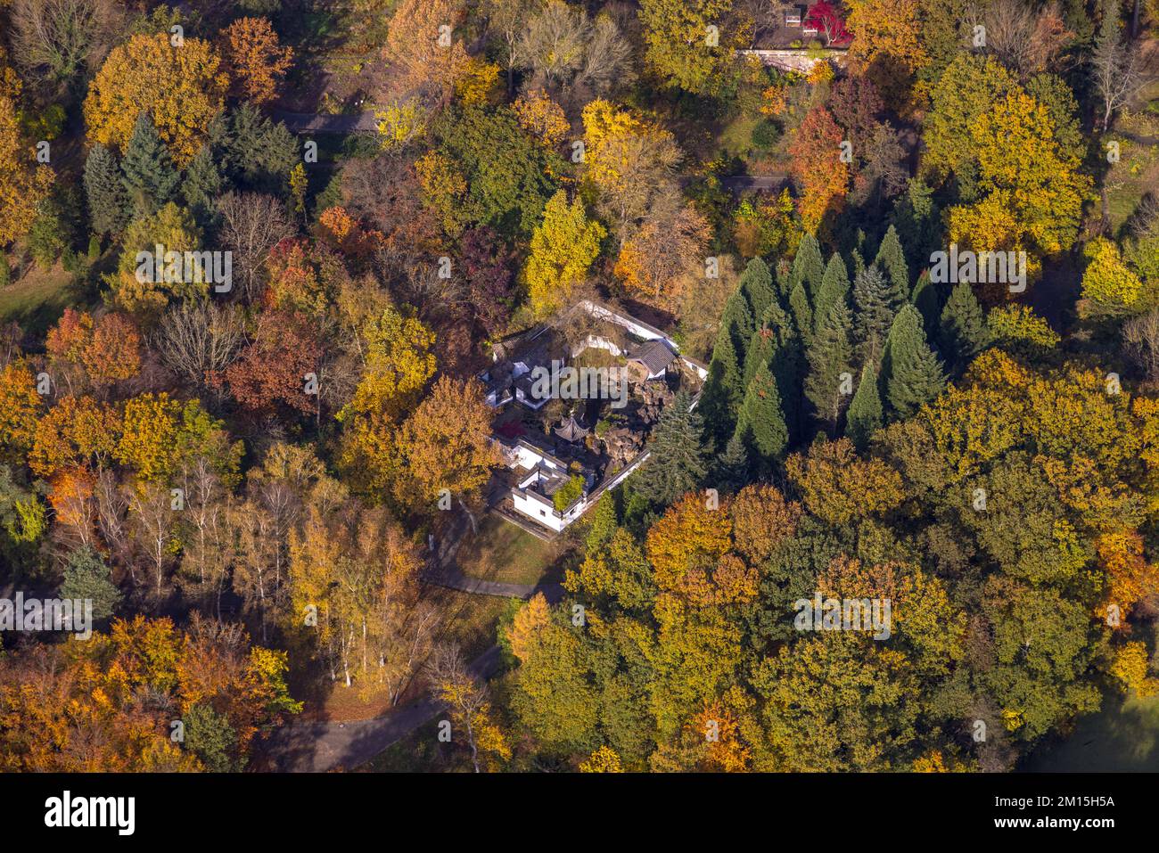 Vista aerea, giardino cinese e giardino botanico nella foresta autunnale presso l'Università della Ruhr nel quartiere di Querenburg a Bochum, zona della Ruhr, Renania settentrionale-Vestfale Foto Stock