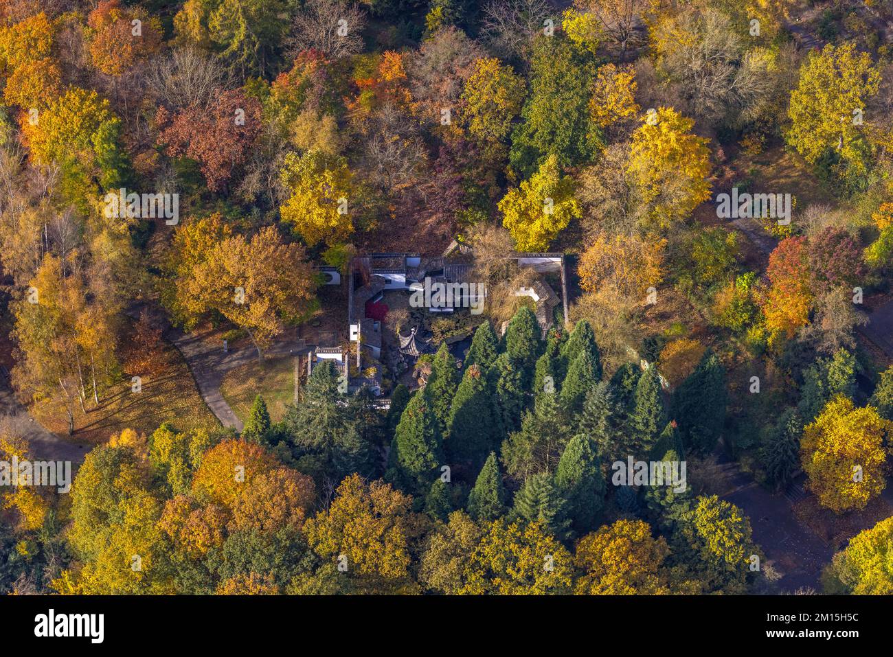 Vista aerea, giardino cinese e giardino botanico nella foresta autunnale presso l'Università della Ruhr nel quartiere di Querenburg a Bochum, zona della Ruhr, Renania settentrionale-Vestfale Foto Stock