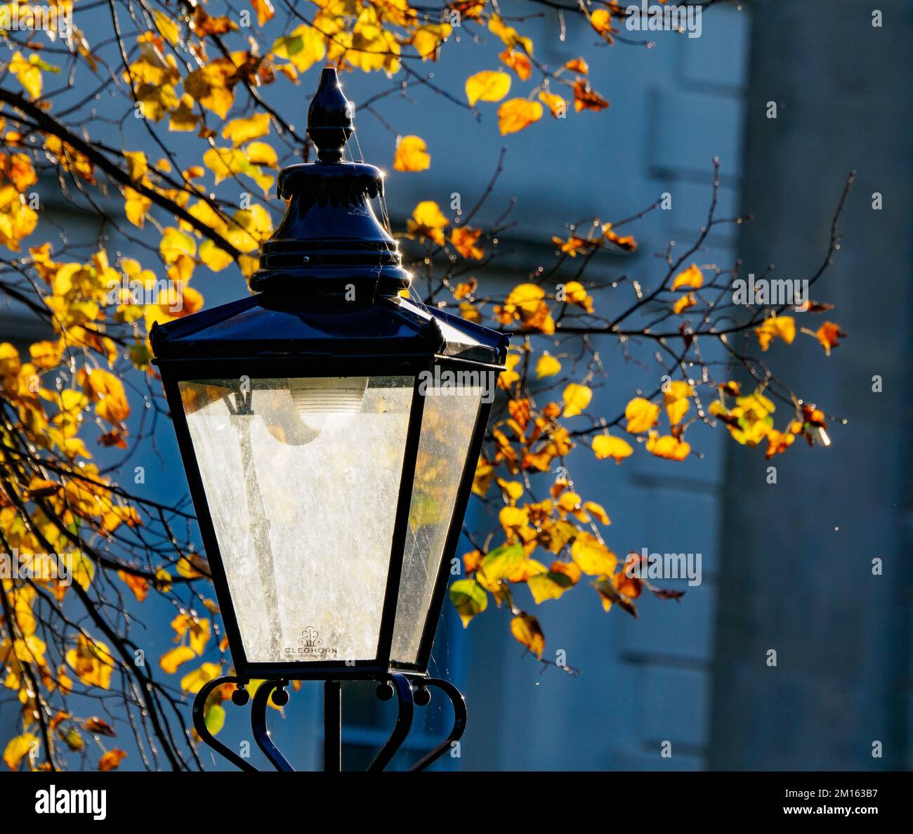 Lampada da strada e foglie autunnali nel villaggio di Clifton Bristol UK Foto Stock