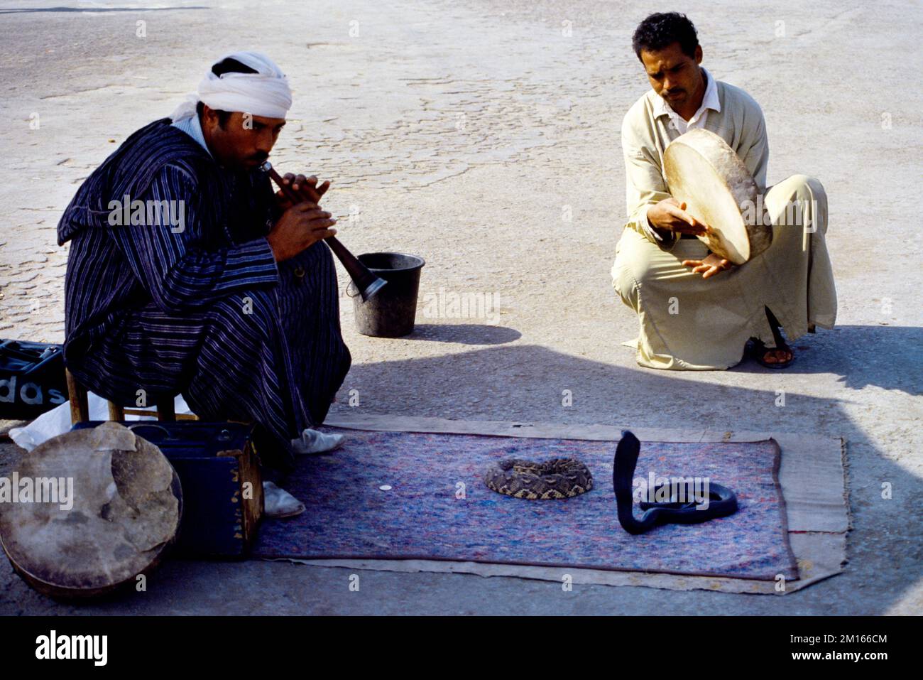 Marakech Marocco Snake Charmer utilizzando Shehnai Instrument e Tambourine Foto Stock