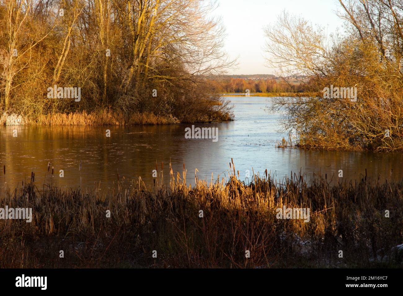 natura, paesaggio, stagione, foresta, all'aperto, cielo, sfondo, albero, legno, bello, luce, vista, abete, panoramica, anno, tempo, paese delle meraviglie, escursioni Foto Stock