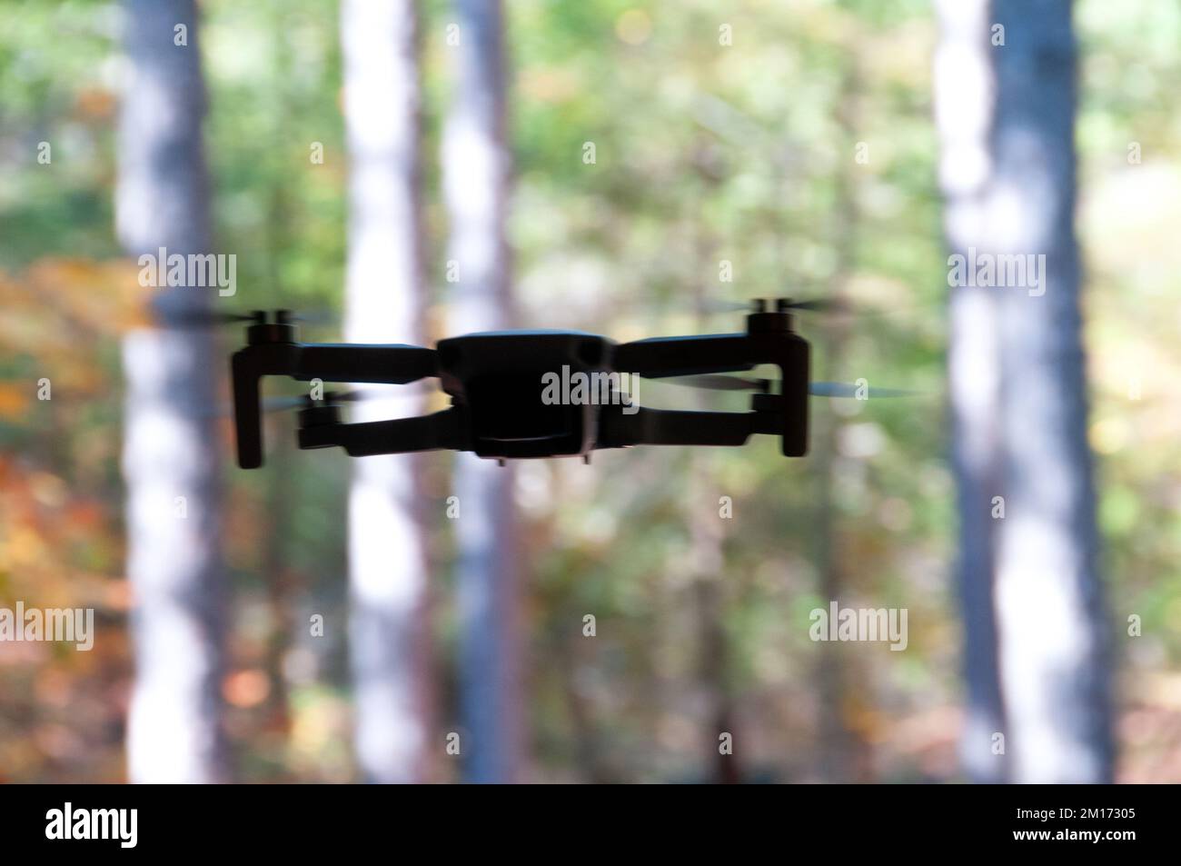 Un drone si trova nella foresta, registrando ciò che vede. Foto Stock