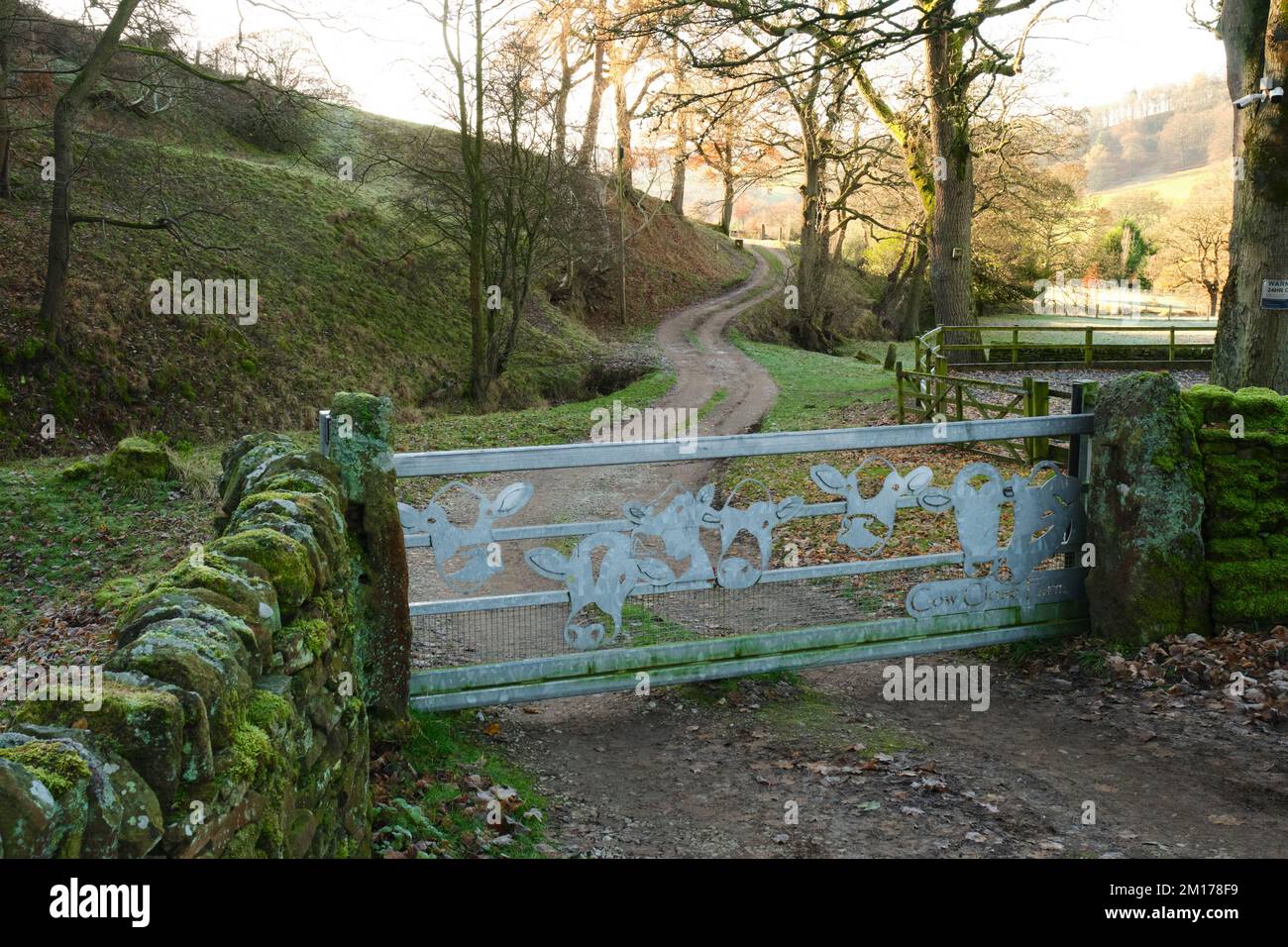 Un cancello d'acciaio decorato in modo divertente sbarra la strada per Cow Close Farm vicino a Hathersage, Derbyshire. . Foto Stock Un cancello d'acciaio decorato in modo divertente sbarra la strada per Cow Close Farm vicino a Hathersage, Derbyshire. . Foto Stock