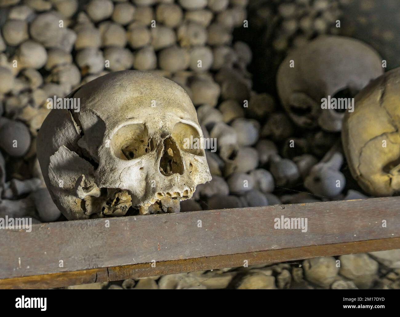 Primo piano di teschi umani davanti a teschi umani Foto Stock