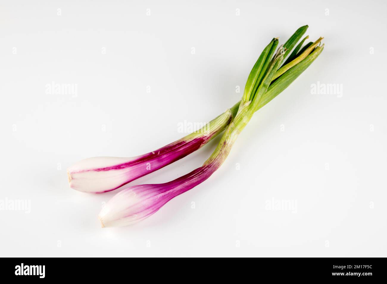 Foto ravvicinata della cipolla verde Foto Stock