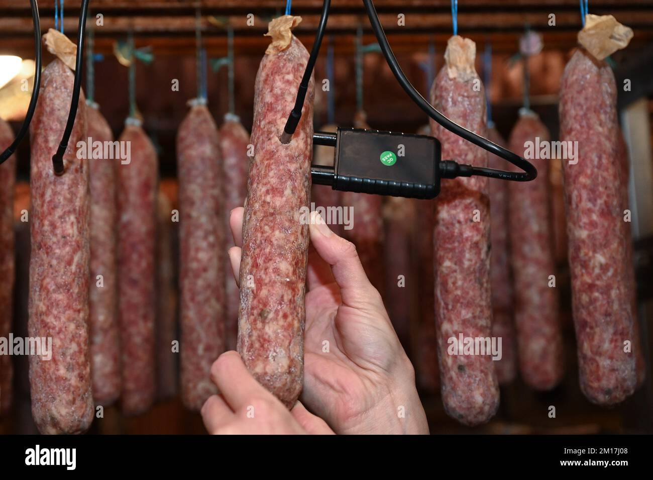 Calden, Germania. 05th Dec, 2022. Un 'Ahle Wurst' dotato di sensori è appeso nella camera di maturazione della macelleria Henry Koch country. In collaborazione con l'Università di Kassel, il processo di maturazione della delicatezza hessiana del Nord, che può richiedere fino a un anno, deve essere sostenuto in futuro con l'intelligenza artificiale (ai). (A dpa 'ai al macellaio: I sensori aiutano nella produzione di 'Ahler Wurst') Credit: Uwe Zucchi/dpa/Alamy Live News Foto Stock