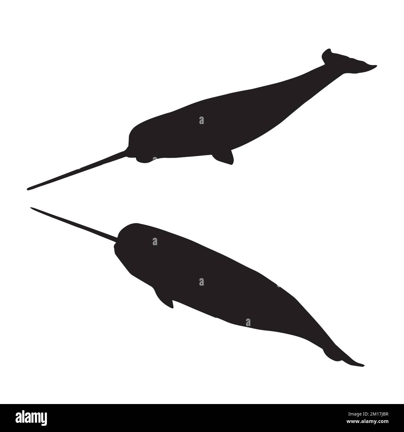 Illustrazione vettoriale di Silhouette Narwhal Illustrazione Vettoriale