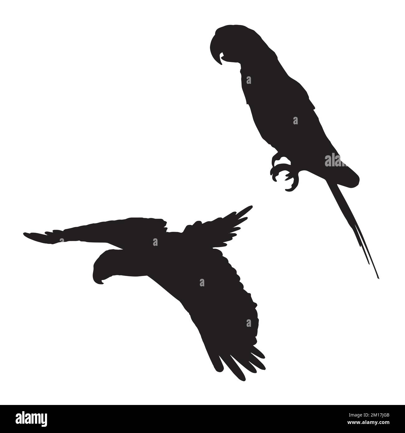 Arte vettoriale di silhouette di pappagallo Illustrazione Vettoriale