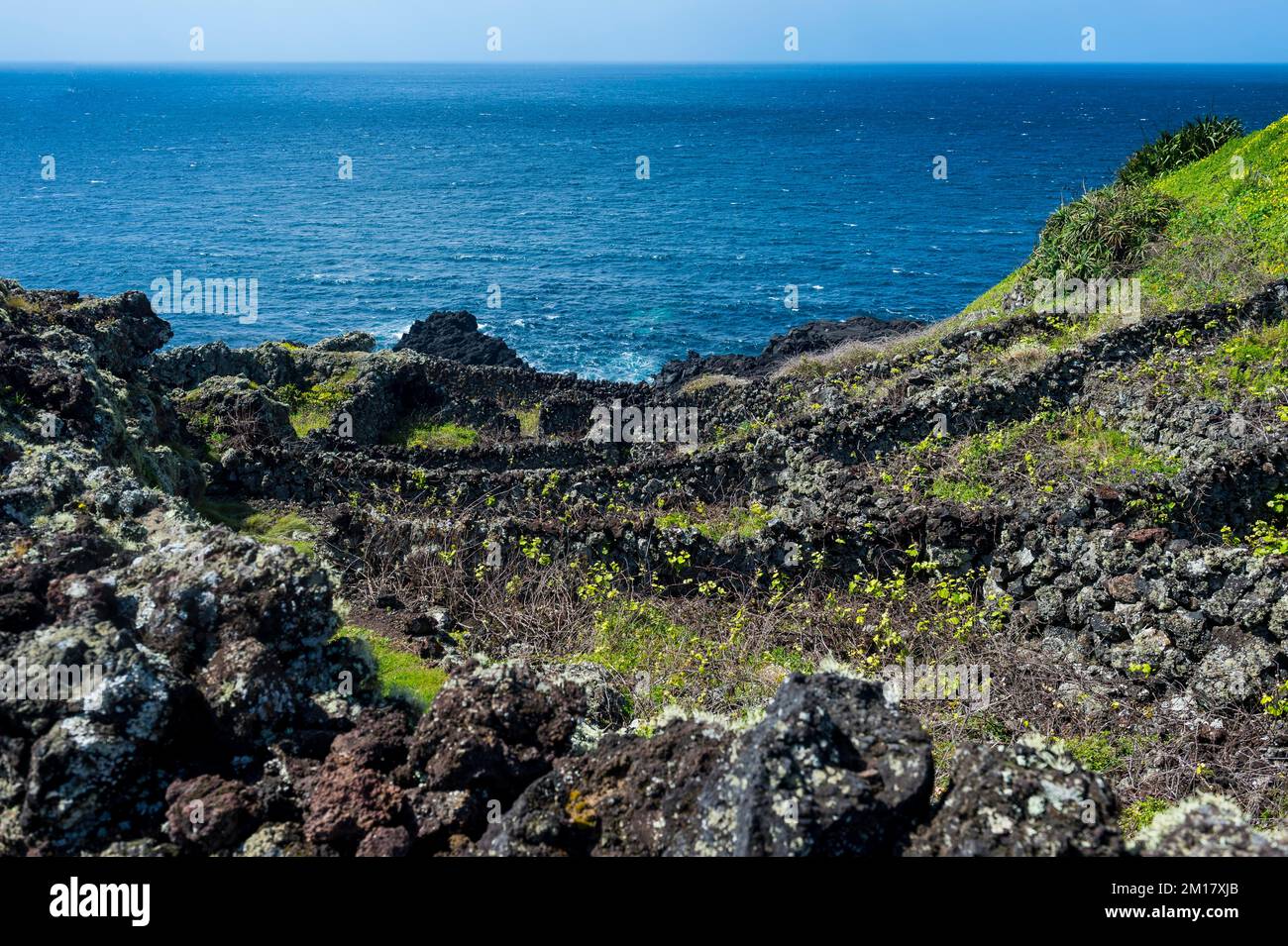 Vecchio vigneto, Isola di Terceira, Azzorre, Portogallo, Europa Foto Stock