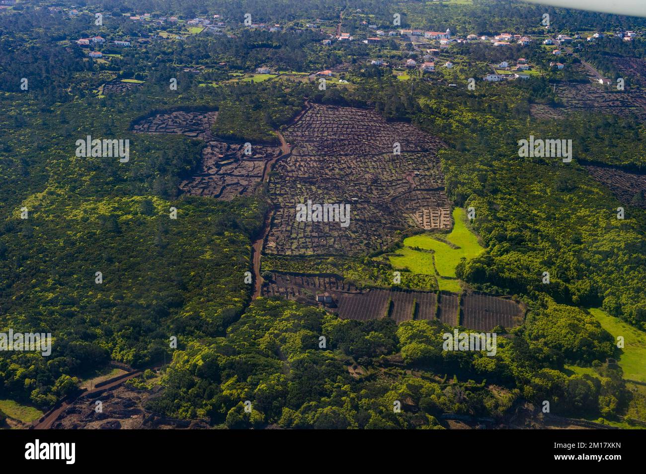 Areale del patrimonio mondiale dell'UNESCO vedere gli antichi vigneti, isola di Pico, Azzorre, Portogallo, Europa Foto Stock