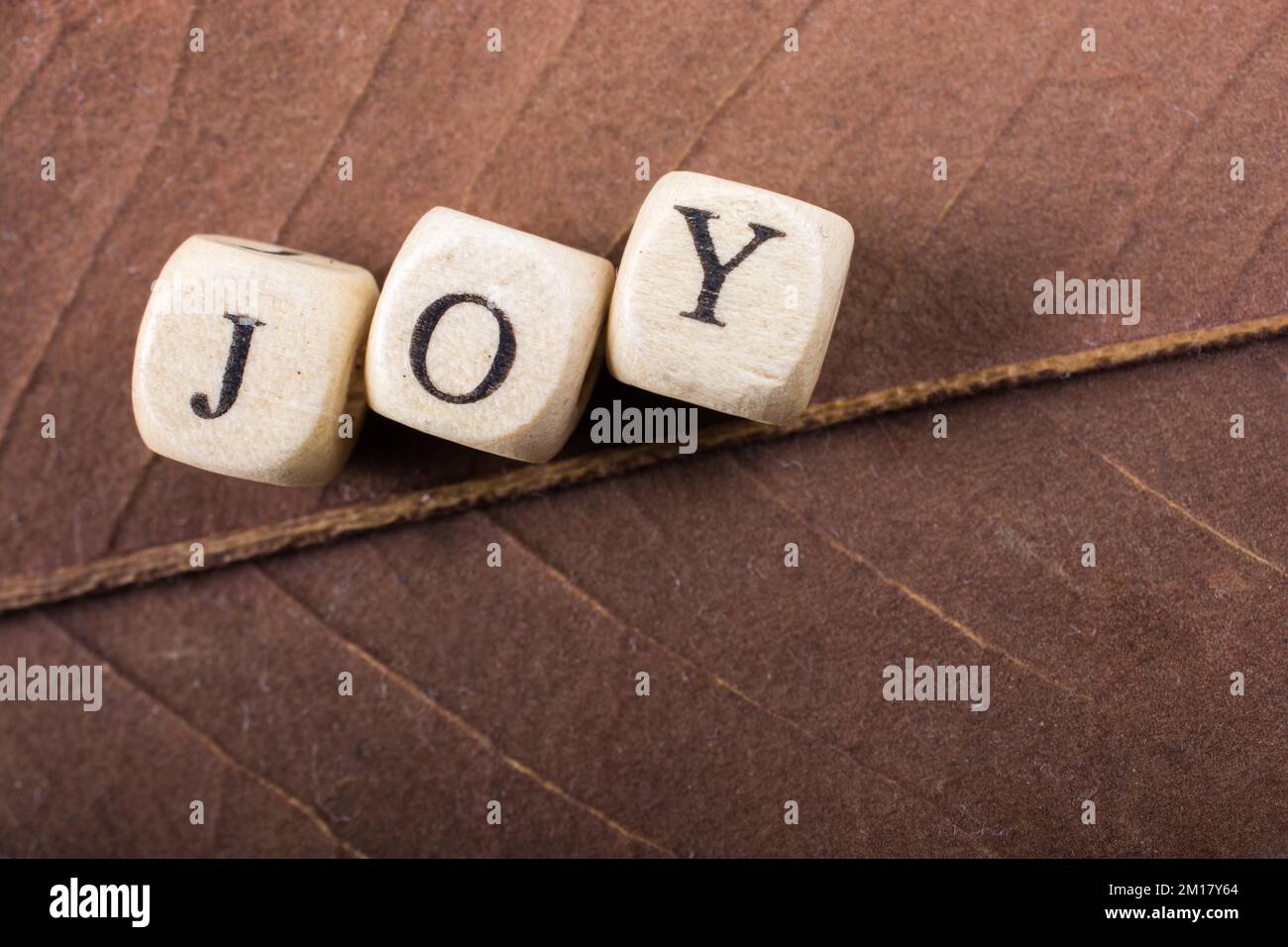 Messaggio di testo Testo della parola gioia su una foglia Foto Stock