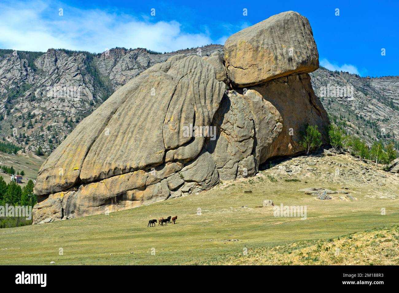 Roccia granitica formazione Turtle Rock, Melkhii Khad, Gorkhi-Terelj Parco Nazionale Terelj, Mongolia Foto Stock