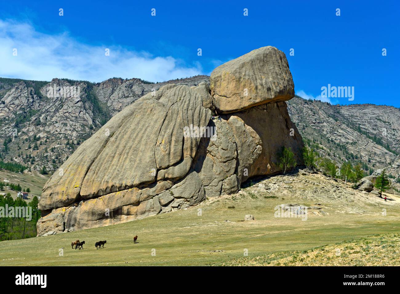 Roccia granitica formazione Turtle Rock, Melkhii Khad, Gorkhi-Terelj Parco Nazionale Terelj, Mongolia Foto Stock