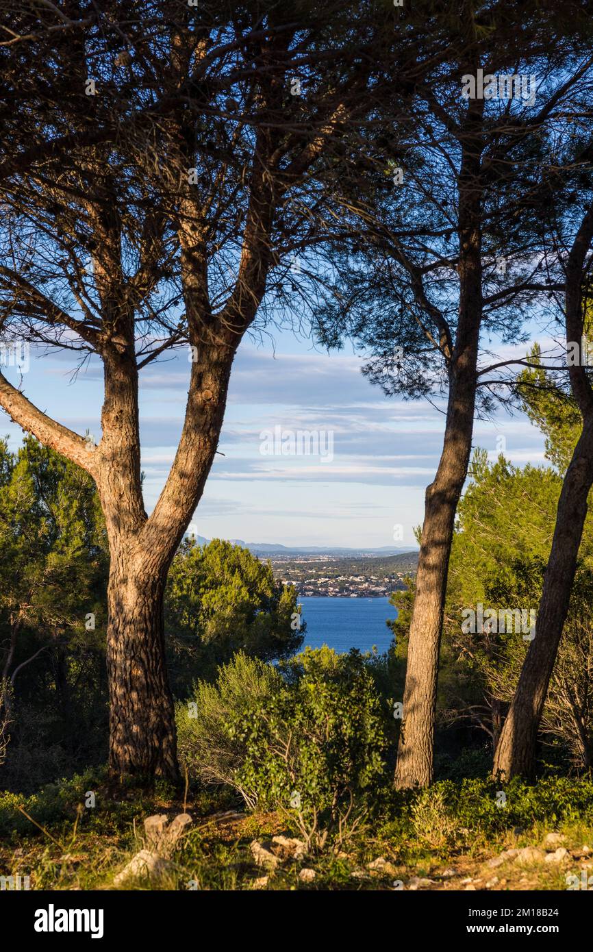 Paesaggio sul Etang de Thau dal Forêt des Pierres Blanches in cima al Mont Saint-Clair a Sète Foto Stock