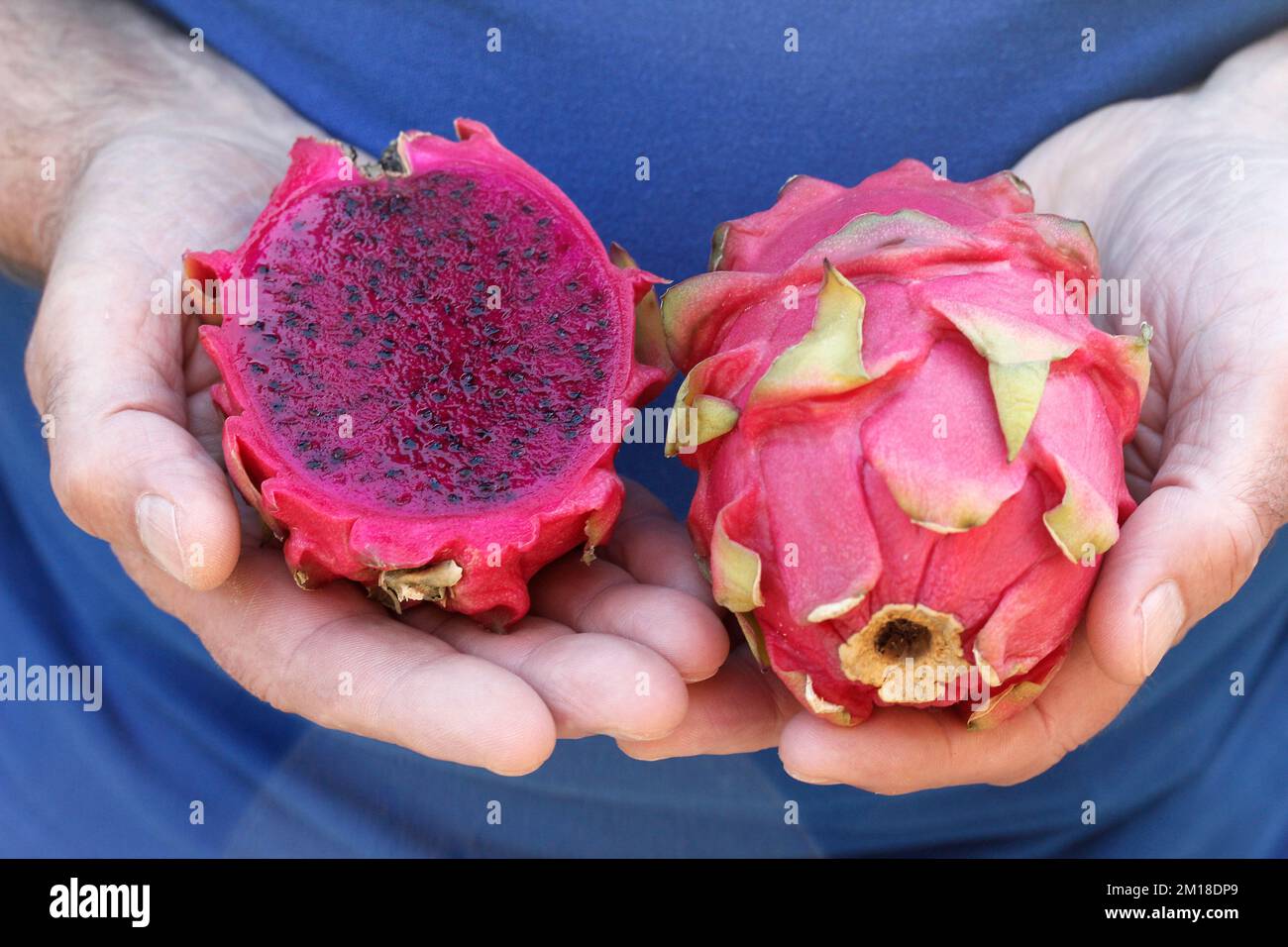 Frutta del drago. Foto Stock