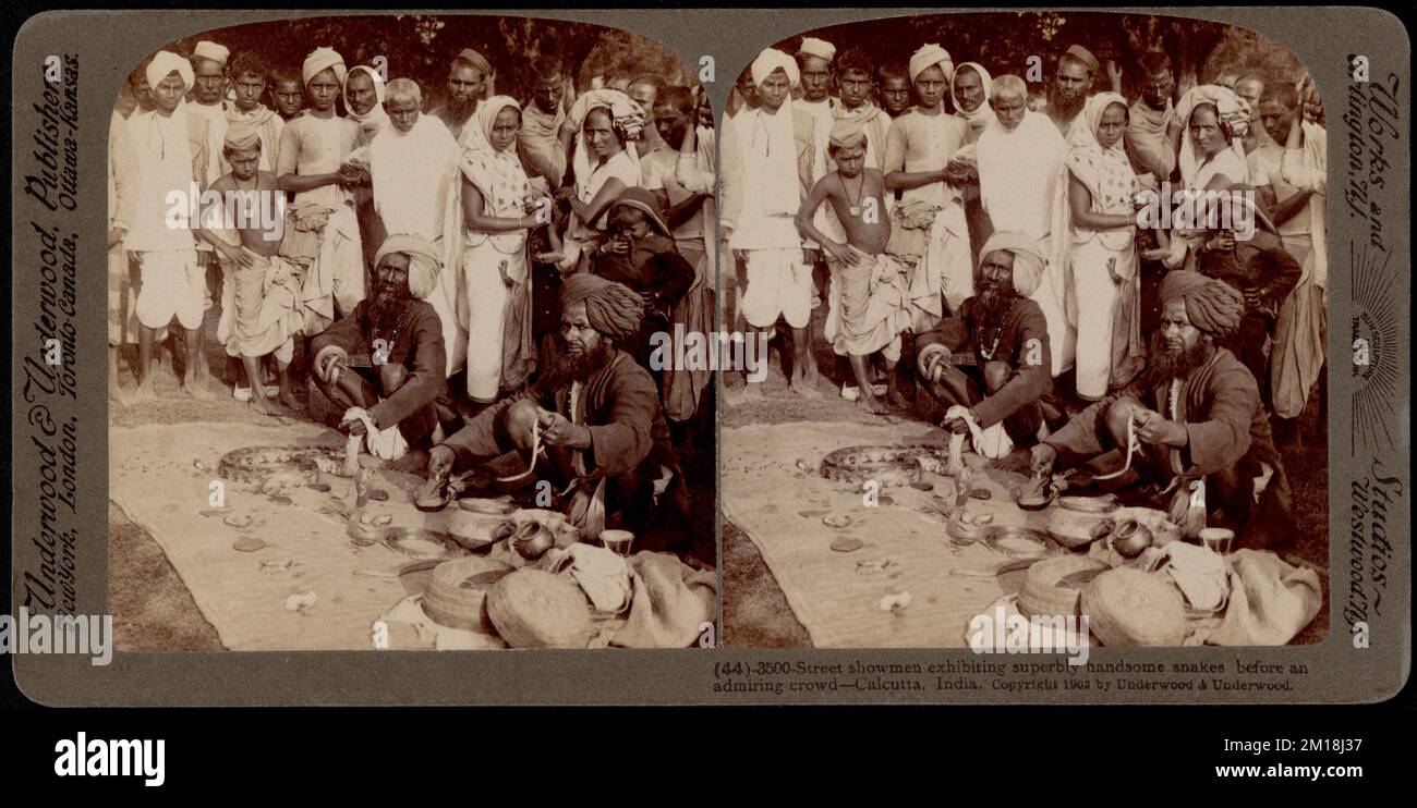 Street showmen che espongono serpenti. Calcutta, India, Snake Charming, pubblico, città & vita cittadina, Snakes Foto Stock