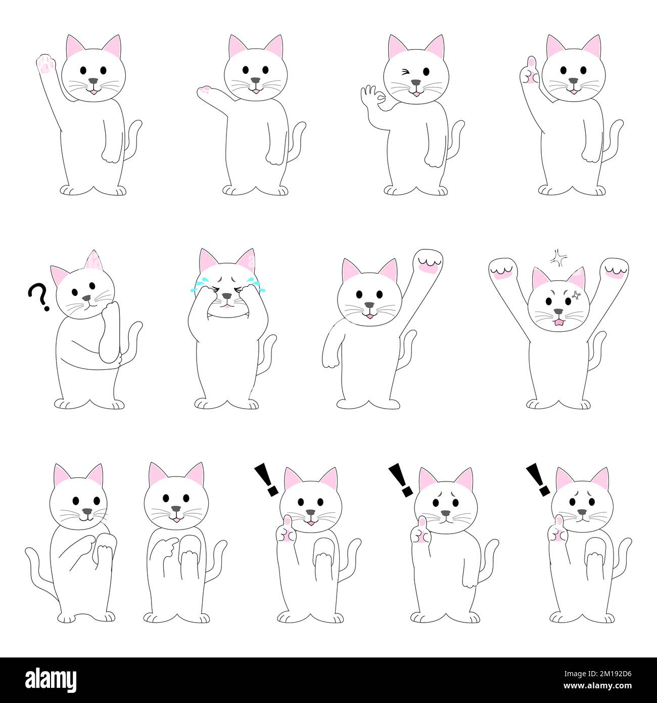 Un set di gatto bianco con sfondo bianco Foto Stock