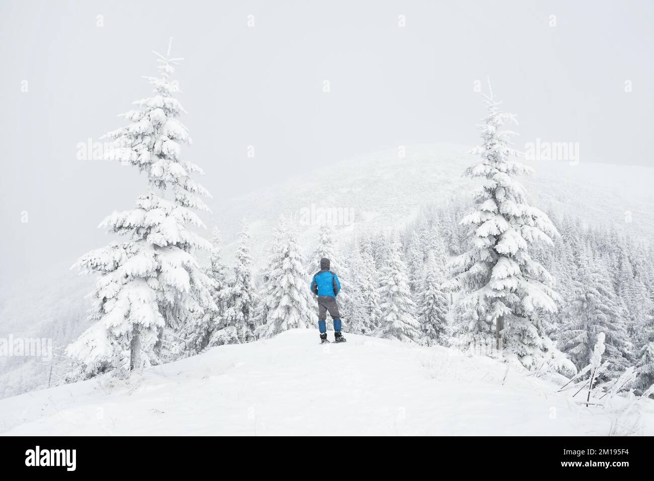 Un uomo si trova su una collina in una foresta di montagna innevata d'inverno Foto Stock
