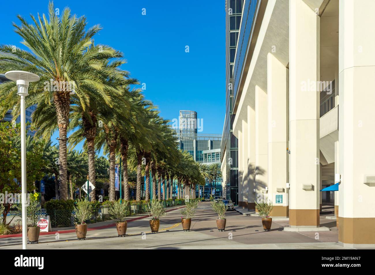 Anaheim, CA, USA – 3 novembre 2022: Grandi piante in vaso utilizzate come barricata stradale presso l'Anaheim Convention Center di Anaheim, California. Foto Stock