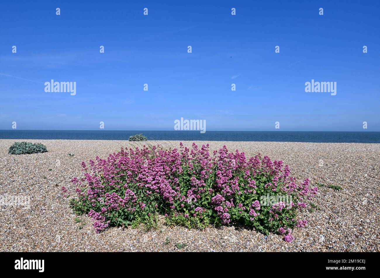 Aldeburgh Beach, Aldeburgh, Suffolk, Regno Unito Foto Stock