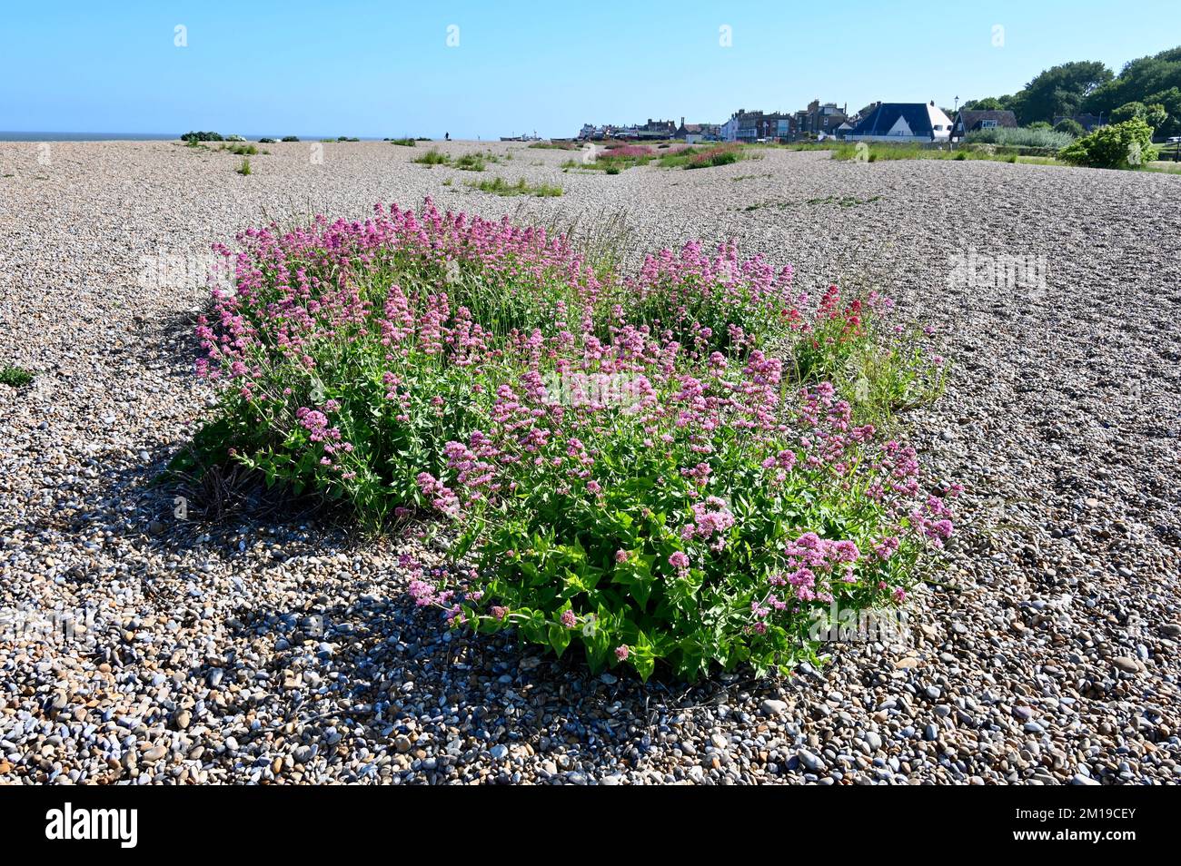 Aldeburgh Beach, Aldeburgh, Suffolk, Regno Unito Foto Stock