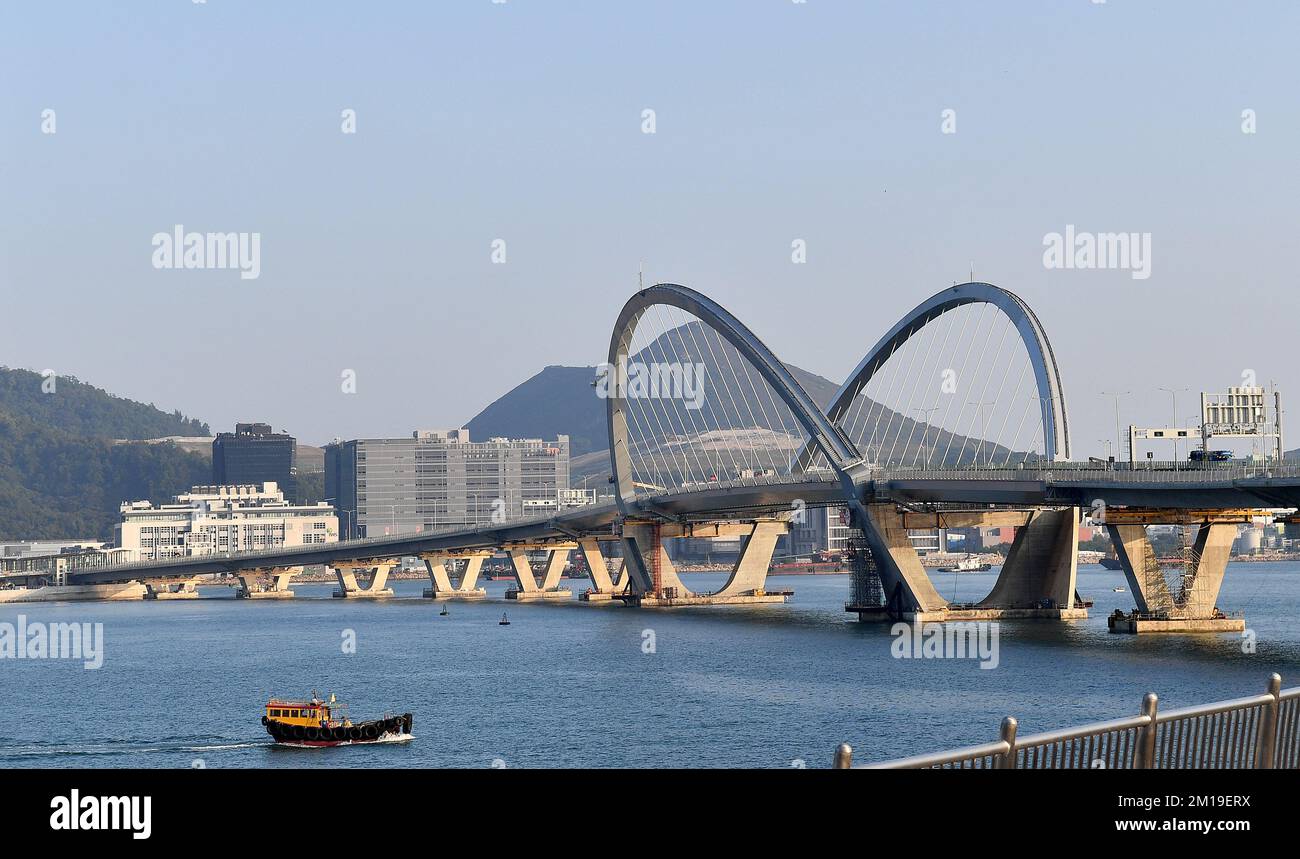 Hong Kong. 8th Dec, 2022. Questa foto scattata il 8 dicembre 2022 mostra il ponte Tseung Kwan o Cross Bay Bridge a Hong Kong, Cina meridionale. PER ANDARE CON 'Hong Kong's Tseung Kwan o Cross Bay Bridge apre al traffico' credito: Chen Duo/Xinhua/Alamy Live News Foto Stock