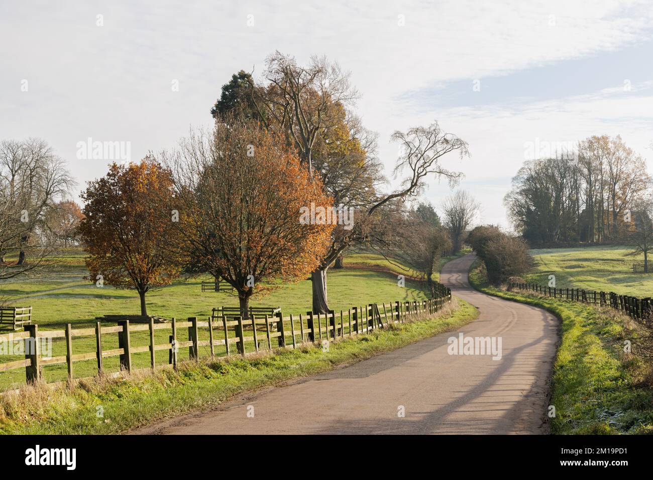 Watford Park, Watford, Northamptonshire, Regno Unito: Nel tardo autunno una stretta strada di campagna deserta si snoda in salita tra recinzioni di legno. Foto Stock