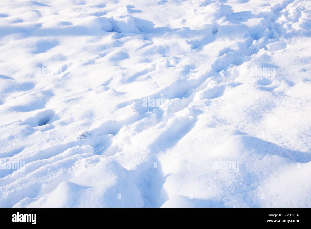 Scarpette in primo piano su neve bianca, macrofotografia Foto Stock