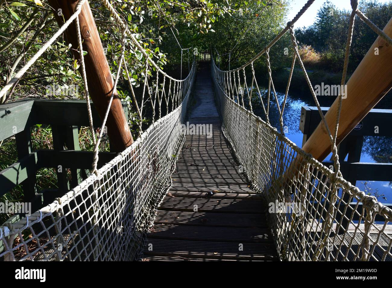 Rope Bridge al WWT London Wetland Centre, Londra, Regno Unito Foto Stock